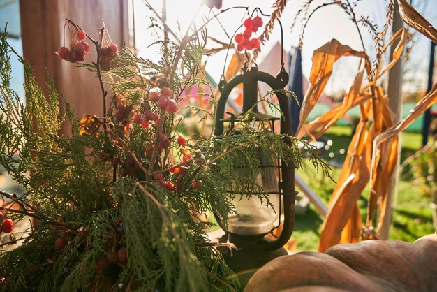 Ogrody w stylu boho: jak stworzyć swój własny, sielski zakątek pełen kolorów i tekstur