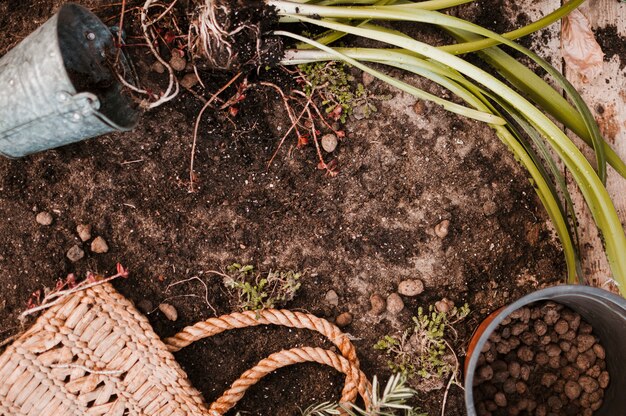 Naturalne metody poprawy jakości gleby w twoim ogrodzie